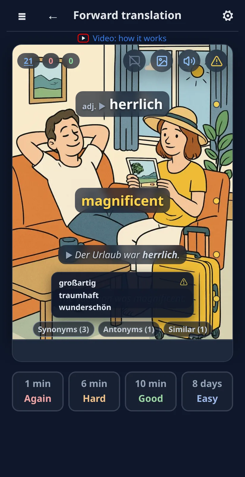 At the bottom of every card: Synonyms, Antonyms, Similar