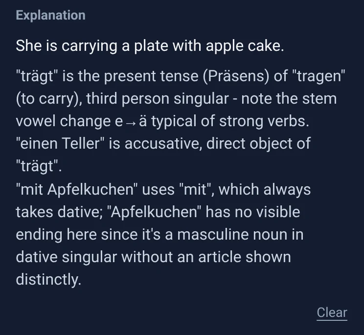 Explanation of the sentence: translation, verb and case.